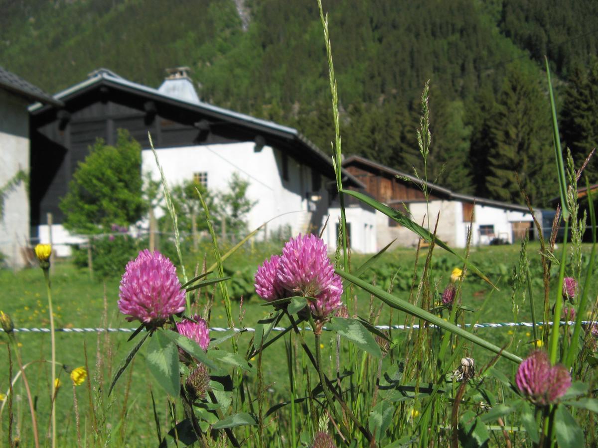Gite Nouveau Grassonnet Chamonix Eksteriør bilde
